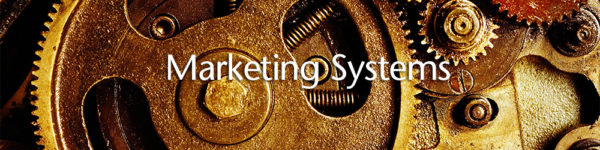The 7 Key Marketing Systems That Drive Business Development